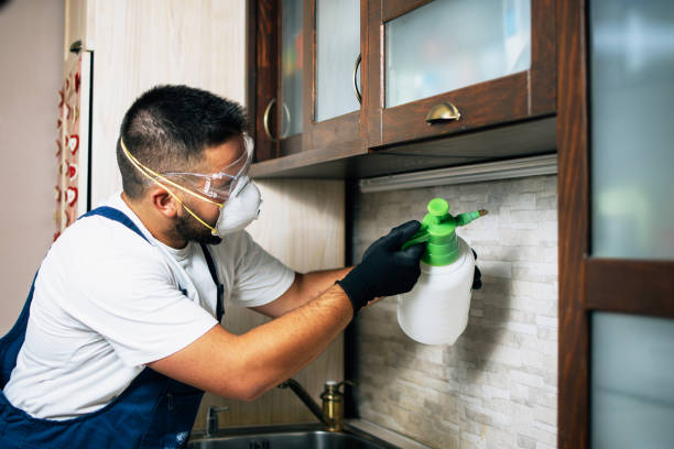 Best Best Pest Control Companies  in Belleair, FL
