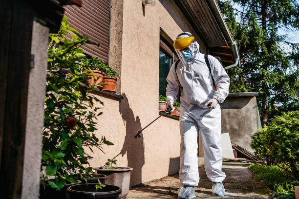Best Affordable Pest Control Services  in Belleair, FL