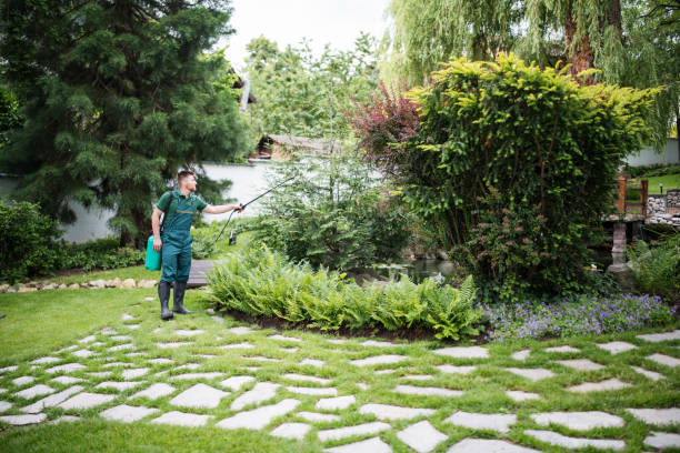 Best Wildlife Control Services  in Belleair, FL