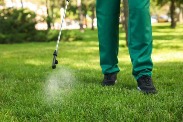 Best Emergency Pest Control  in Belleair, FL