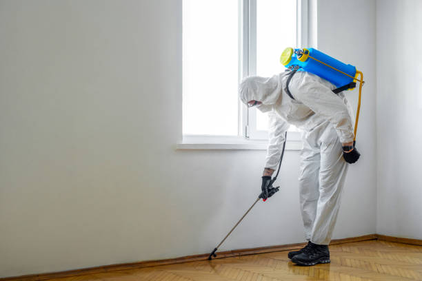 Best Commercial Pest Control Services  in Belleair, FL
