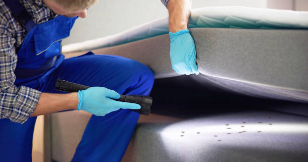 Best Bed Bug Extermination  in Belleair, FL