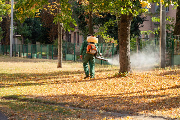 Best Pest Prevention Services  in Belleair, FL