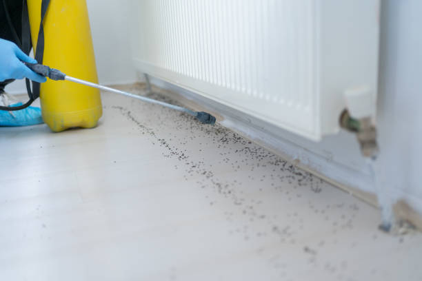 Belleair, FL Pest Control Company