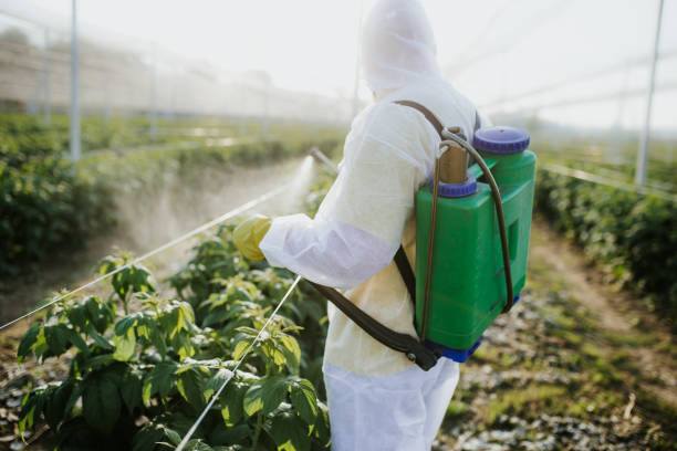 Best Mosquito Control Services  in Belleair, FL